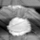 021912AN