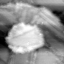 021912AP
