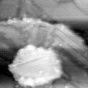 021912AR