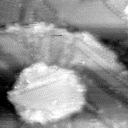 021912AS