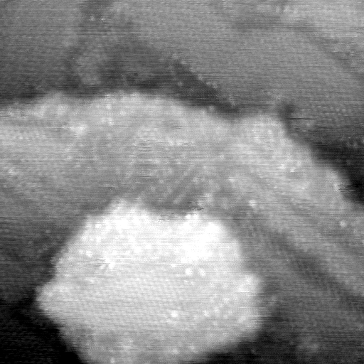 021912BG