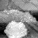021912BG