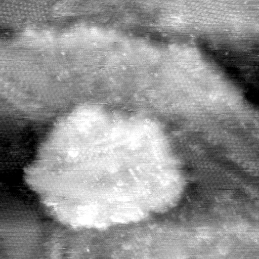 021912BL