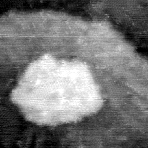 021912BM