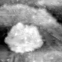 021912BM