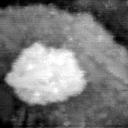 021912BN