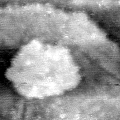 021912BN