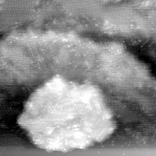 021912BP
