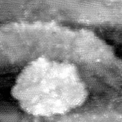 021912BQ