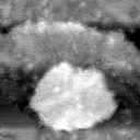 021912BV