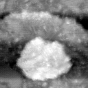 021912BW