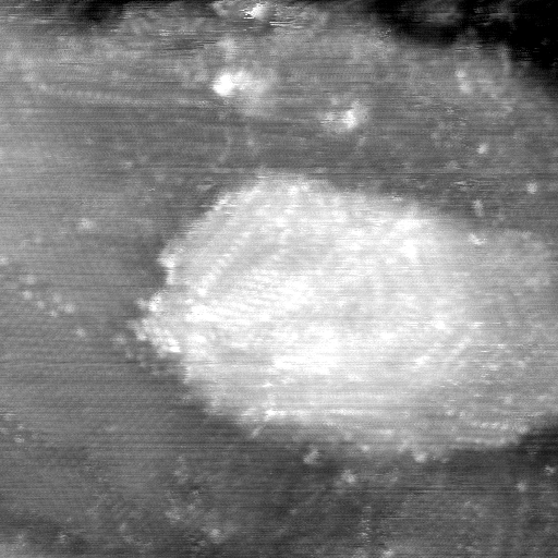 021912CA
