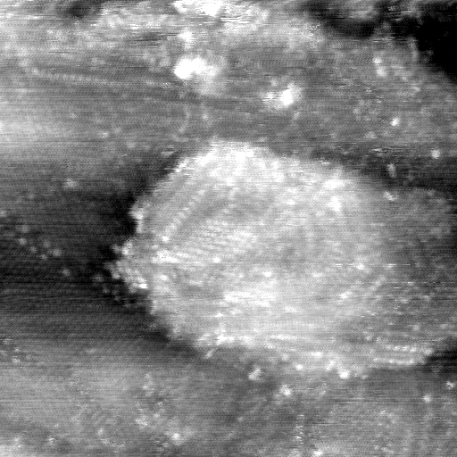 021912CA