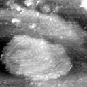 021912CB