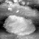 021912CC