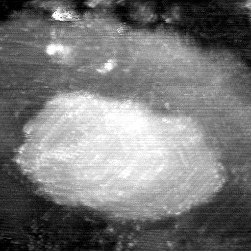 021912CD