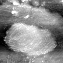 021912CD