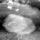 021912CE