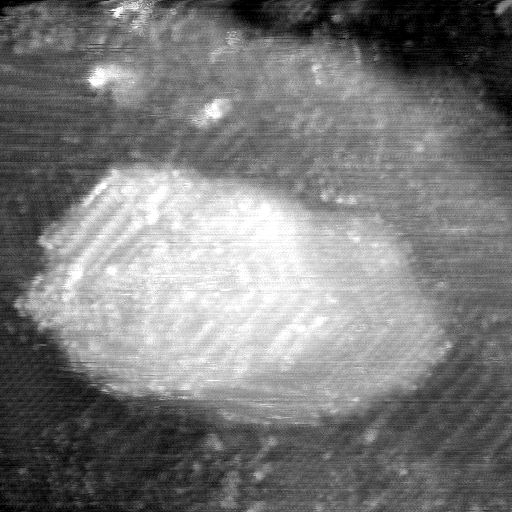 021912CF