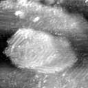 021912CF