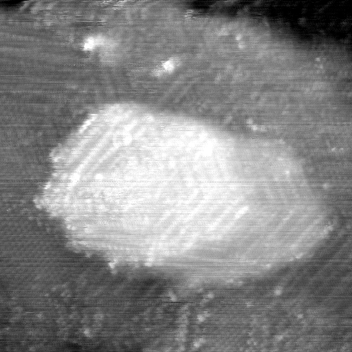 021912CG