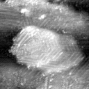021912CG