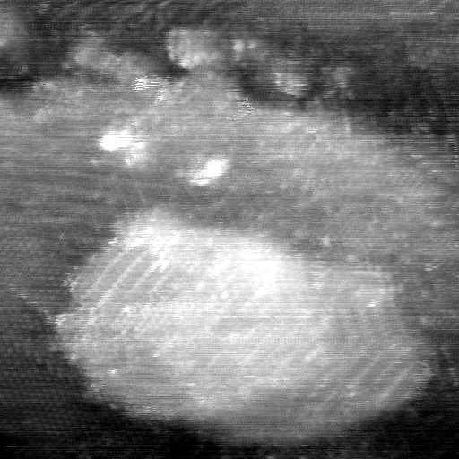 021912CI