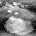 021912CI