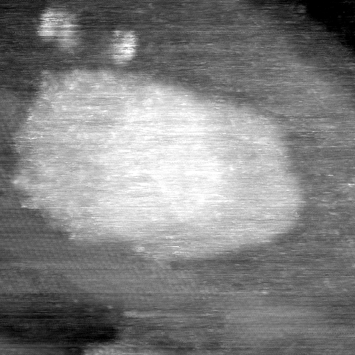021912CT
