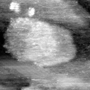 021912CT