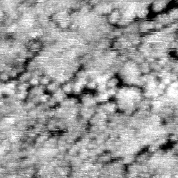 030304BN