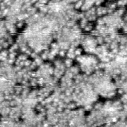 030304BV