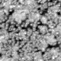 030304BW