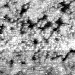 030304CE