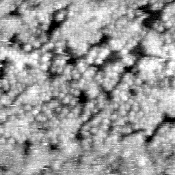 030304CE