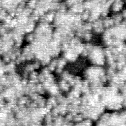 030304CV