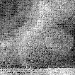 0322019AI