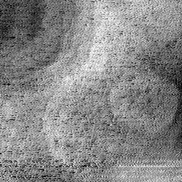 0322019AI