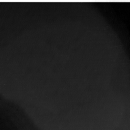 0322019AM