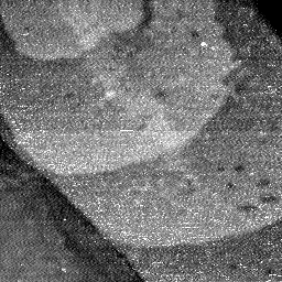 0322019AT