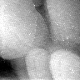 0322019BG