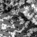 042304FK