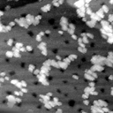 042304IA