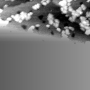 042304IF