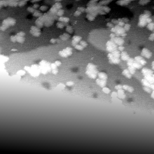 042304IN
