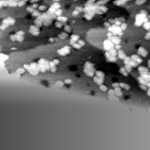042304IN