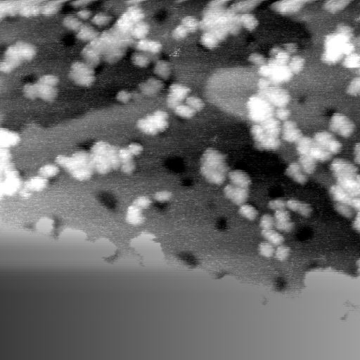 042304IO