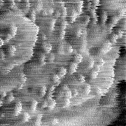 05162019AU