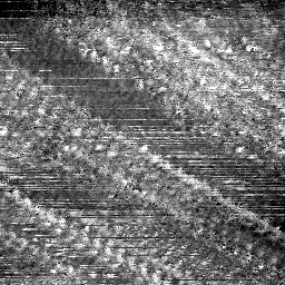 06052019AN