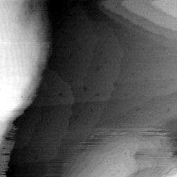 08152019AR